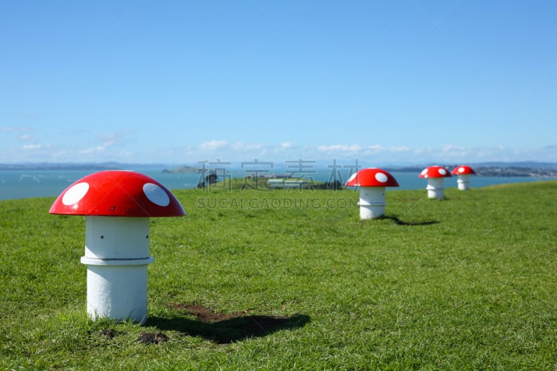 维多利亚山,奥克兰,毒蘑菇,风管,waitemata harbour,水平画幅,无人,德文波特,蘑菇,户外