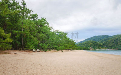 日本红松,敦贺,黑松,福井县,北陆地区,著名自然景观,松林,海滩度假,美,水平画幅
