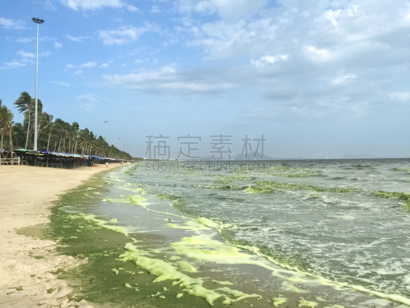 海洋,浮游生物繁殖,琼不里省,自然,自然现象,水平画幅,无人,蓝色,藻类,夏天