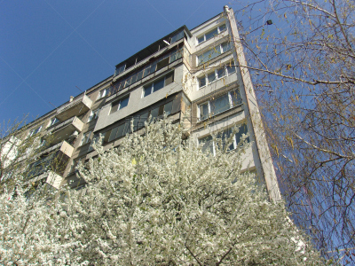 建筑外部,春天,都市风光,梨树,李树,杜鹃花,开花时间间隔,柳树,公园,褐色