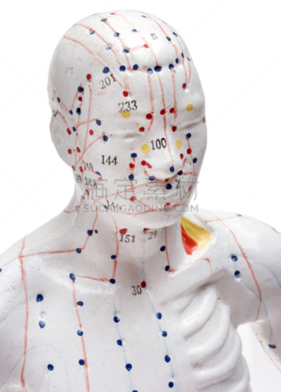 健康保健,背景分离,针灸,垂直画幅,2015年,图像,模型,针灸模型,小雕像