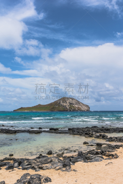 海滩,瓦胡岛,夏威夷,岛,摄像机拍摄角度,兔子,垂直画幅,水,瓦伊马那洛海滩,山