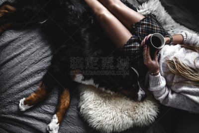 狗,床,伯恩山犬,舒服,自然美,可爱的,酷,女孩,高雅,躺