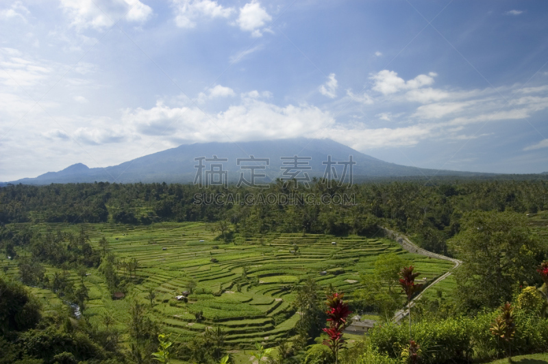 水稻梯田,卡兰葛森地区,阿贡火山,天空,美,水平画幅,山,巴厘岛,火山地形,户外
