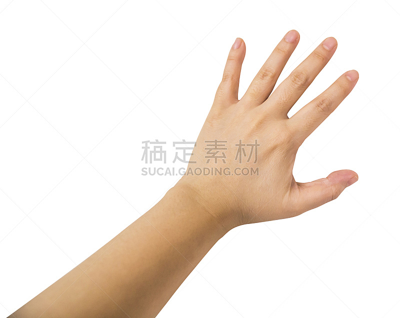 手掌,特写,白色背景,女人,分离着色,手背,左撇子,停止手势,高举手臂,举起手