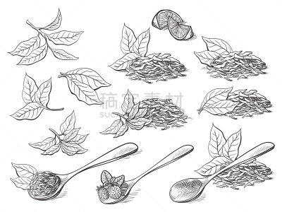 茶叶,钢笔和麦克笔画,中医,墨水和刷子,有色粉笔画,干的,绿茶,钢笔画,花茶,速写本