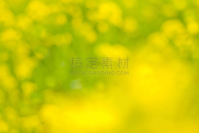 黄色の背景