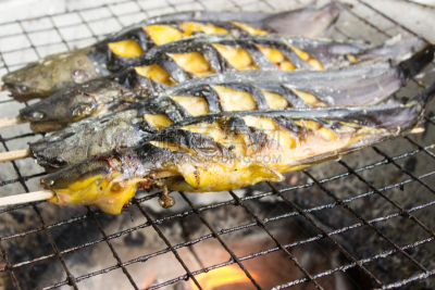 格子烤肉,鲶鱼,水平画幅,无人,膳食,食品,肉,摄影,煮熟,烘焙