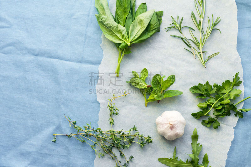 唇形科,罗勒,清新,百里香,草本,迷迭香,芝麻菜,欧芹,亚麻布,串