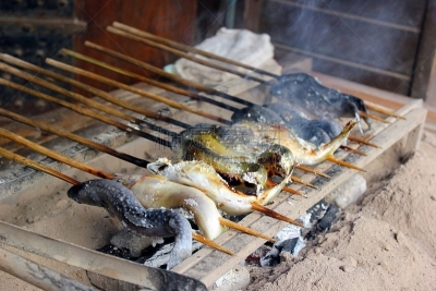 鱼类,格子烤肉,传统,海产,清新,饮食,膳食,食品,图像,成分