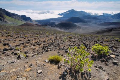 毛伊岛,火山,火山喷口,斯科舍海,火山渣锥,水平画幅,火山地形,户外,自由,高处