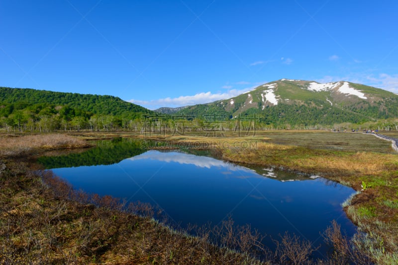 群马县,夏天,日本,早晨,尾濑国立公园,著名自然景观,美,国家公园,水平画幅,枝繁叶茂