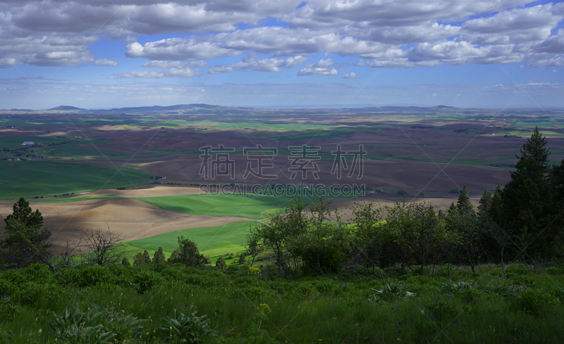 kamiak butte country park,华盛顿州,小路,惠特曼县,帕卢斯,美国西北太平洋地区,自然,天空,美国,水平画幅