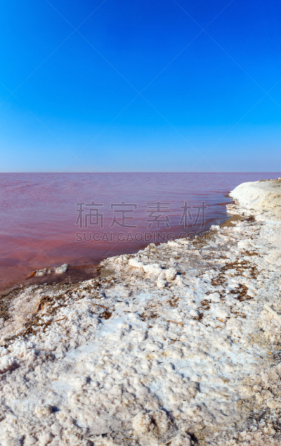 湖,粉色,乌克兰,自然界的状态,克里米亚,海岸线,泻湖,矿物质,水湾,夏天
