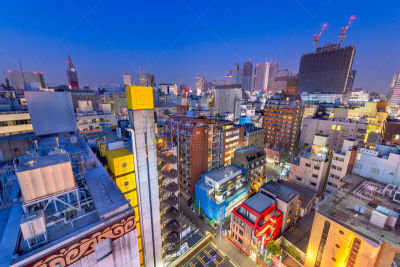 曙暮光,都市风景,日本,新宿区,东京,商务,歌舞伎町,黄昏,现代,著名景点
