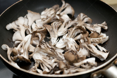 煎锅,蘑菇,水平画幅,食品杂货,嫩煎食品,膳食,组物体,特写,面包,食用菌