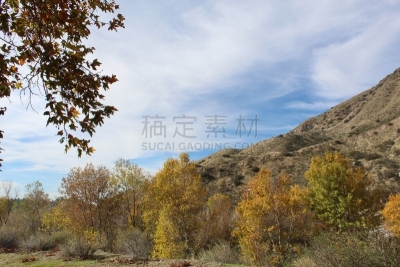 圣乐博山脉,风,山,活力,云景,韧性,云,山地森林,户外,诗人