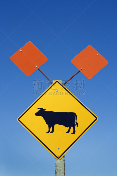 牛,警告标识,橙色,蓝色,天空,道口标志,垂直画幅,留白,无人,符号