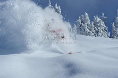 粉末状雪,白昼,蓝知更鸟,塔夷,水平画幅,冬天,无人,怀俄明,滑雪运动,户外