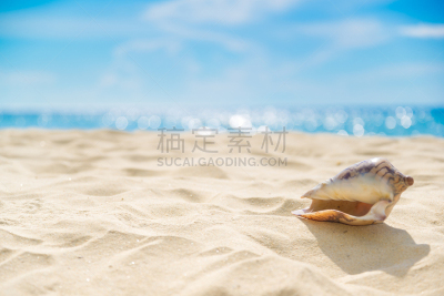 沙子,海滩,蓝色,贝壳,天空,水,水平画幅,无人,夏天,特写