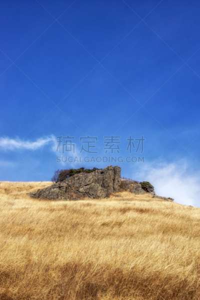 草,芦苇,高大的,视角,鼠茅草,著名景点,韩国,朝鲜半岛,户外,山脉