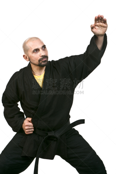 忍者,日本武士,垂直画幅,禅宗,武术,勇士,职权,日本,白色背景,肖像