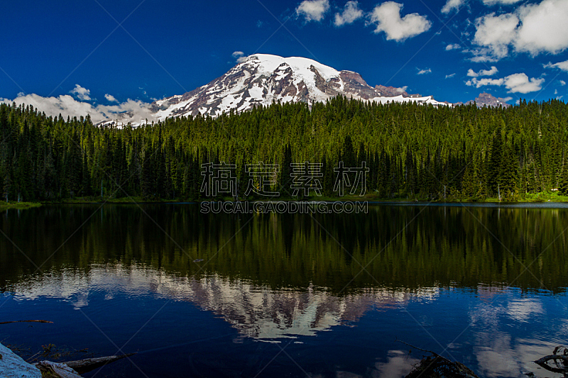 湖,雷尼尔雪山,水,水平画幅,山,雪,无人,户外,北美,树林