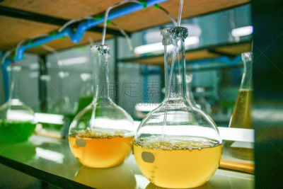 浮游生物,实验室,实验室玻璃器皿,浮游植物,叶绿体,显微镜,微生物学,生物科技,水平画幅,科学
