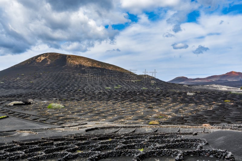 兰萨罗特岛,园艺,居住区,葡萄,洛杉矶,timanfaya national park,玫瑰香葡萄,水平画幅,山,无人