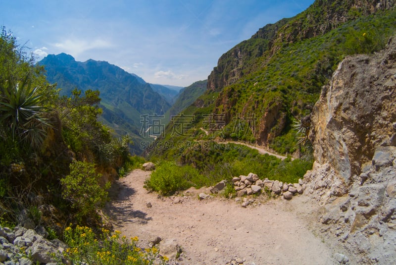 科尔卡峡谷,阿雷基帕地区,秘鲁,洛矶山脉,水,天空,沟壑,水平画幅,山,雪