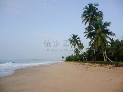 棕榈树,海滩,风景,阿克拉,落日海滩,加纳,太平洋岛屿,热带气候,简单,自然美
