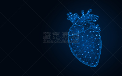 人类心脏,绘画插图,矢量,模型,低多边形效果 ,抽象,接线框,蓝色背景