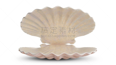 贝壳,空的,绘画插图,空白的,白色背景,品牌名称,三维图形,分离着色