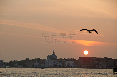 黎明,海鸥,威尼斯,拉德卡,水,威尼托大区,水平画幅,无人,鸟类,船