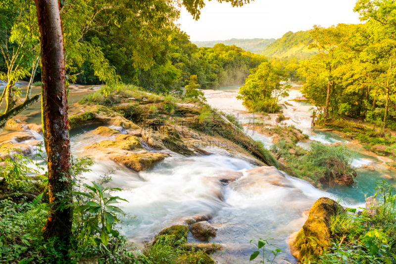 恰帕斯州,agua azul cascades,墨西哥,水,水平画幅,枝繁叶茂,瀑布,无人,热带雨林,户外