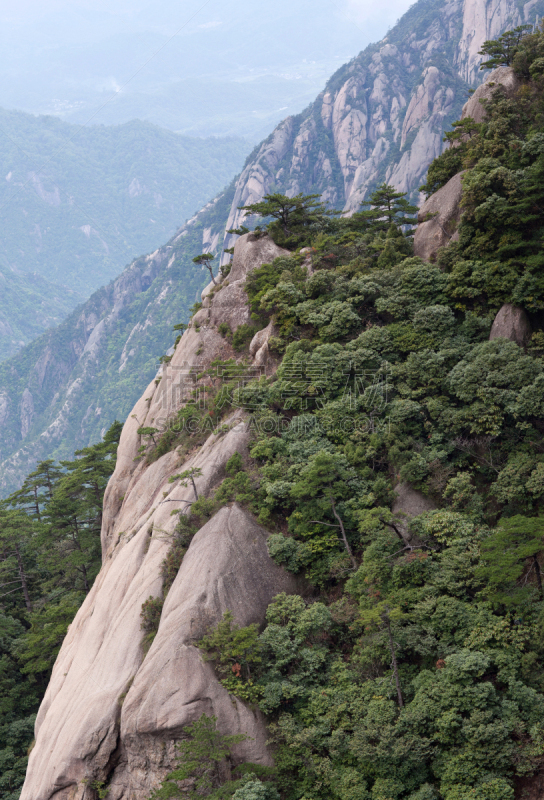 安徽省,中国,黄山,松林,野生动物保护区,黄山山脉,自然保护区,松科,岩层,峡谷