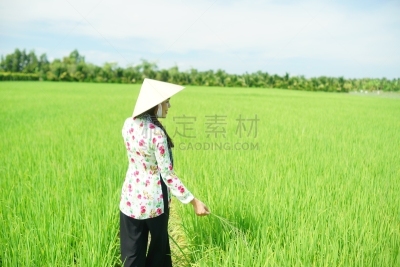 农民,女孩,自然美,越南人,褐色,水平画幅,夏天,户外,仅成年人,奥黛