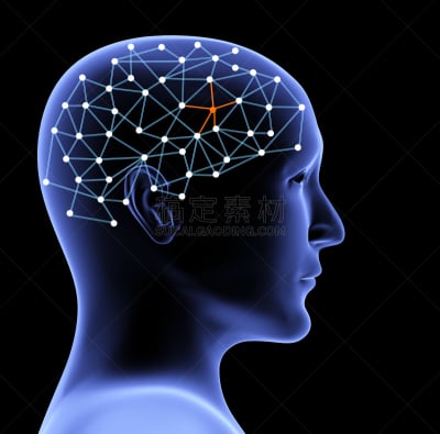 脑部,人的头部,三维图形,人,易接近性,神经丝,第三节神经递质,细胞核,颏,受体