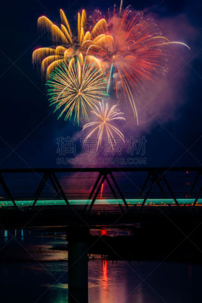 放焰火,线条,垂直画幅,夜晚,夏天,红色,传统节日,相模湾,厚木,黄色