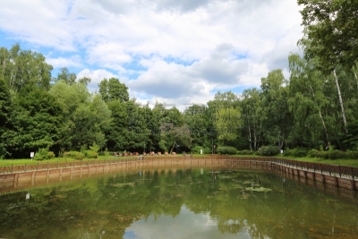 池塘,自然,水,水平画幅,无人,户外,湖,凌乱,被抛弃的,草本