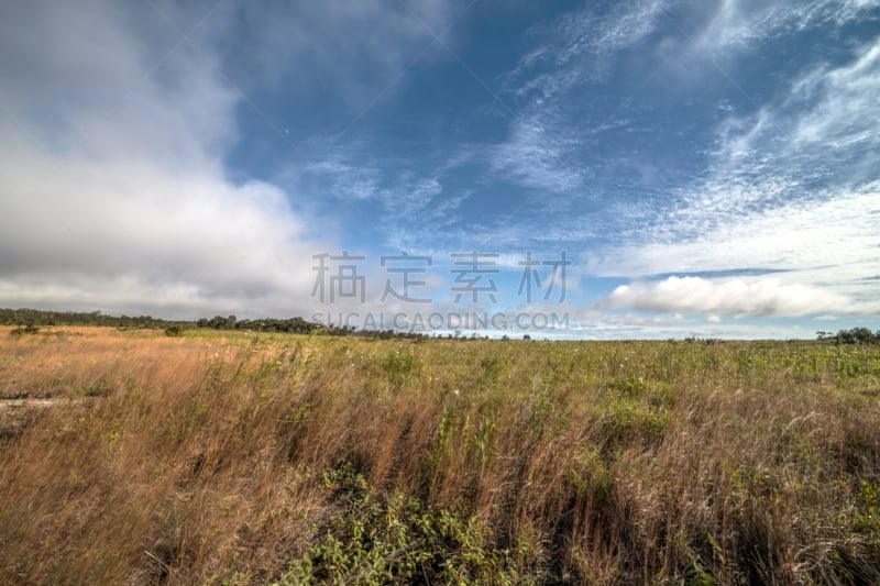 几劳亚活火山,夏威夷大岛,国家公园,普乌欧火山口,扑那,夏威夷火山国家公园,硫磺,风管,火山喷口,国内著名景点