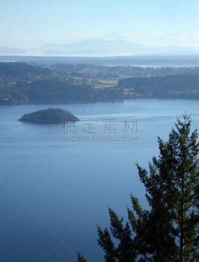 水湾,大不列颠哥伦比亚,垂直画幅,水,休闲活动,枝繁叶茂,山,无人,早晨,户外