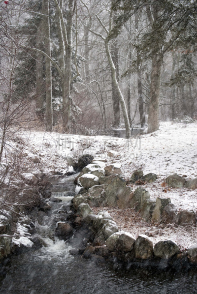 自然,自然美,接力赛,垂直画幅,天空,休闲活动,雪,雨,冬天,雪鞋