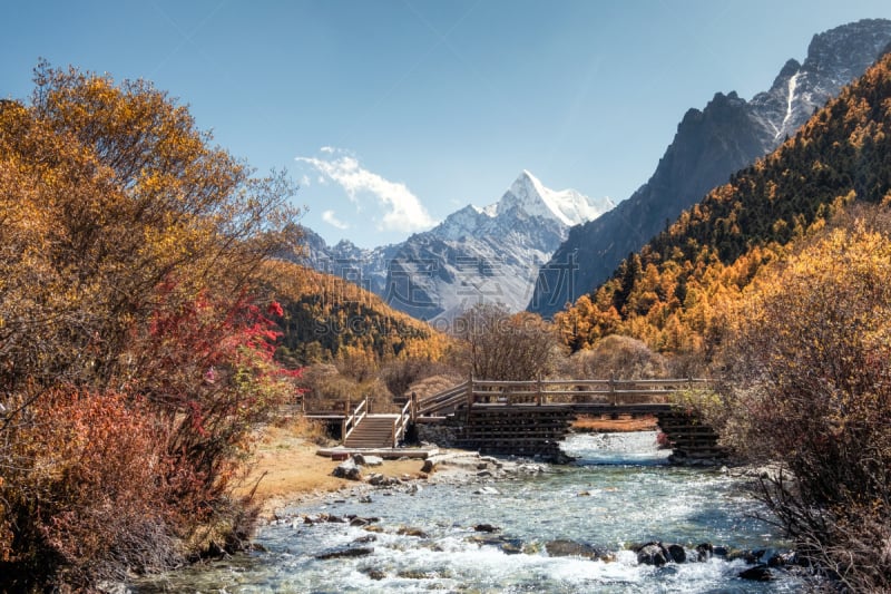 秋天,松木,最后,森林,香格里拉,山,云景,热带气候,云,树荫