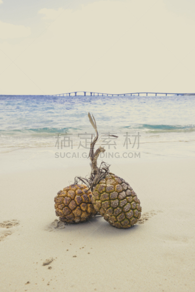 沙子,图像,海滩,鸡尾酒,宫古岛,浮木,自然,垂直画幅,留白,水果