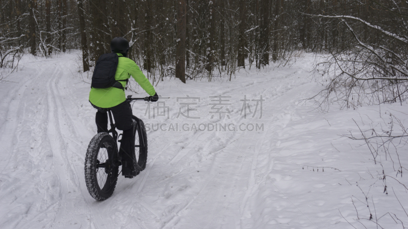 冬天,骑自行车,轮胎,森林,大块头,车轮,巨大的,风,飙摩托车者,水平画幅