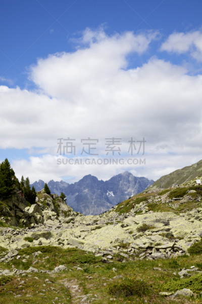 瑞士阿尔卑斯山,南,蒂罗尔,看风景,垂直画幅,山,无人,夏天,户外,石头