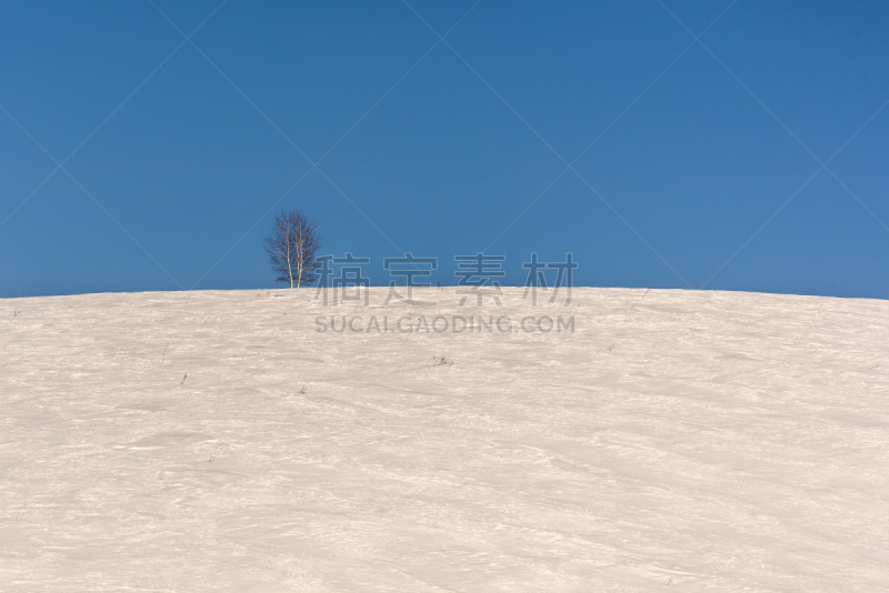 山,雪,白桦,天空,树蛇,野生动物,水平画幅,岩石,雪白鹭,无人
