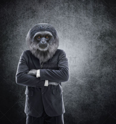 猿,长臂猿,男商人,套装,拟人的,勇敢面对,商务,动物主题,经理,面具