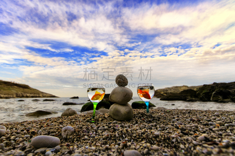 鱼类,水,pectoral fin,明亮,橙色,橙子,被抛弃的,动物鳍,海滩,火鸡肉